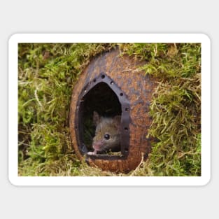 George the mouse in a log pile house - at the door Sticker